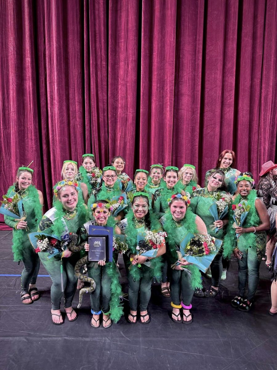 Winterguard+Dominates+at+State+Competition