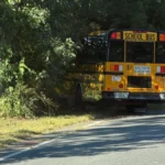 School bus off Downey Street in Westwood, Massachusetts, near the tree line