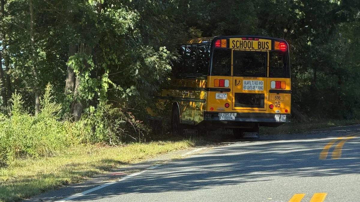 School bus off Downey Street in Westwood, Massachusetts, near the tree line